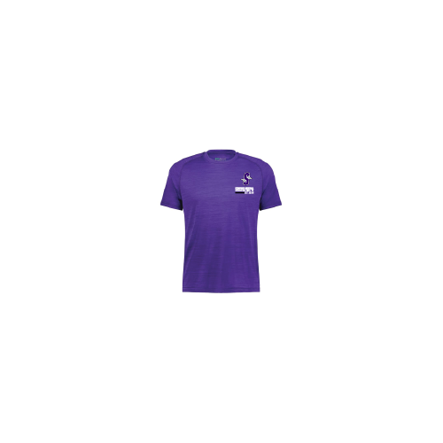 Mens All Pro Tee - Purple
